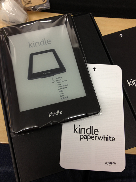 kindle paperweight 3g review
